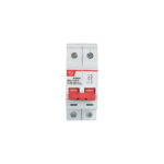 Lauritz Knudsen EXORA, Isolator, 2 Pole, 240V AC, 63A  BF206300